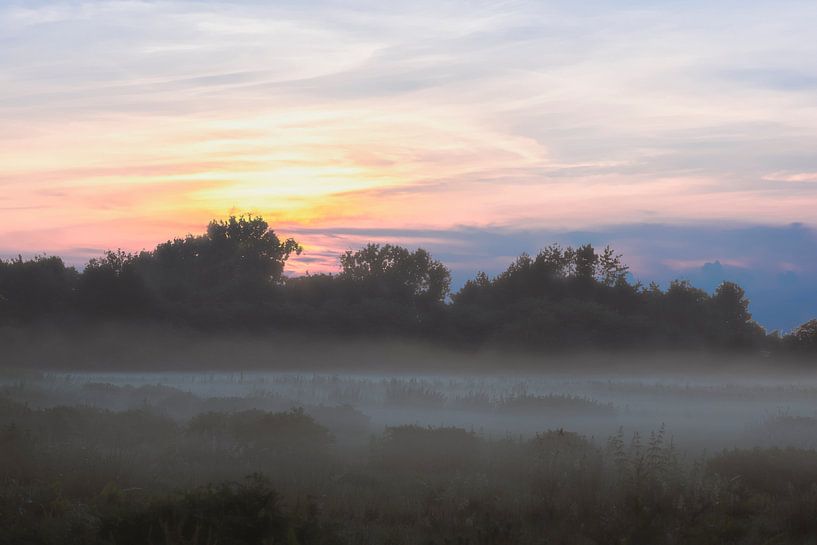 Dawn von Donald Willemsen