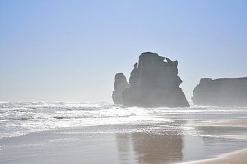 Gespiegeld in het zand van Frank's Awesome Travels