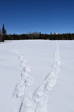Des traces de raquettes dans un champ en hiver sur Claude Laprise