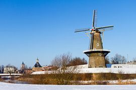 De Hoop, Dalempoort en de Sint Jan toren van Marcel van der Voet