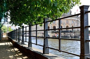 Spaziergang im Schatten
