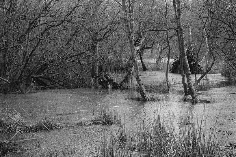 cold winter day in the dunes by Madeltijntje