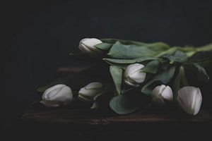 Tulipes blanches sur bois