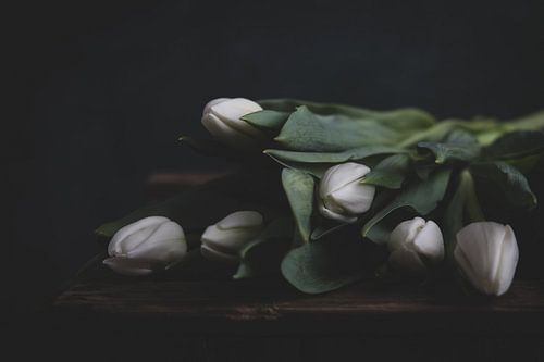 Witte tulpen op hout