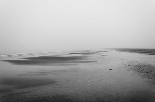 Foggy morning