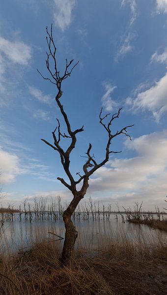 last one standing van Leanne lovink