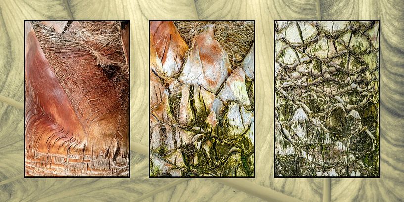 Strukturen und Muster einer Palme in einem Triptychon. von Alie Ekkelenkamp