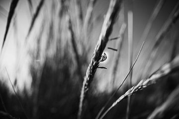 Alone in a big world.