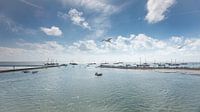 Harbour Terschelling with boats and gulls by Wad of Wonders thumbnail