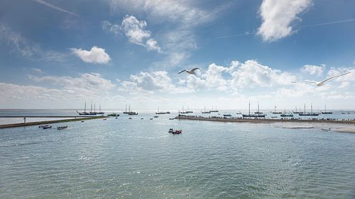 Haven Terschelling met bootjes en meeuwen