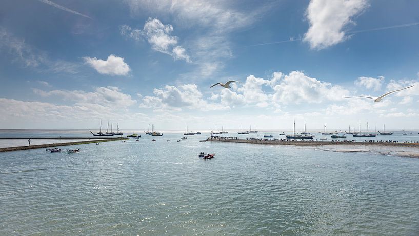 Harbour Terschelling with boats and gulls by Wad of Wonders