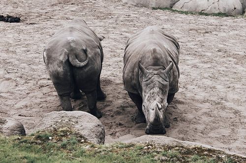 Voor en Achter sur Carmen van Dijken