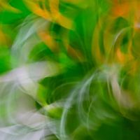 Grün und Gelb in Bewegung 1