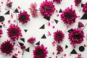 Chrysanthemen