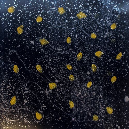 Blikprint geel op blauw