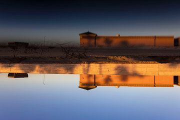 Lumière dorée sur Lieke Caminada