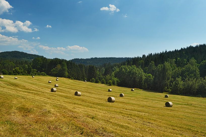 Prairie de foin dans la forêt bavaroise par Jörg Hausmann
