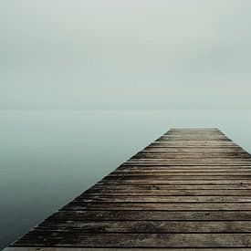 Mist over het Sempach-meer van Stefan Heesch