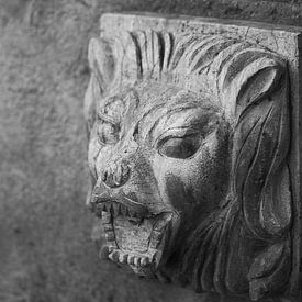Concrete lion sur Jan van Kemenade