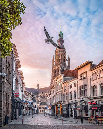 Freier Vogel Vismarktstraat & Grote Kerk in Breda