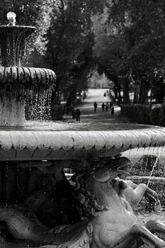 Kunst Architektur BNW Springbrunnen Pferde Villa Borghese Rom Italien