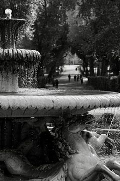 Kunst Architectuur Zwart-wit Fontein Paarden Villa Borghese Roma Italië van Martijn Jebbink Fotografie