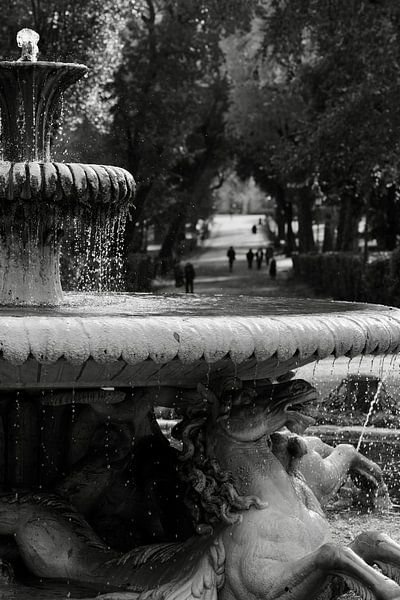 Art Architecture BNW Fontaine Chevaux Villa Borghese Rome Italie par Martijn Jebbink Photography
