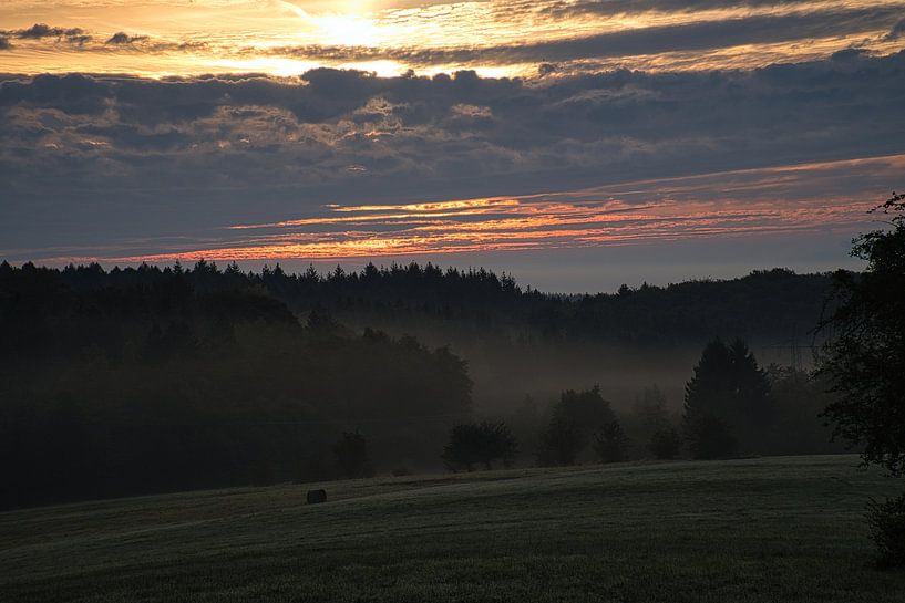 Arbre dans une prairie par temps de brouillard au lever du soleil par Martin Köbsch