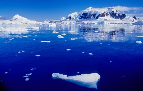 Atarctica 1 - Analogue photography!