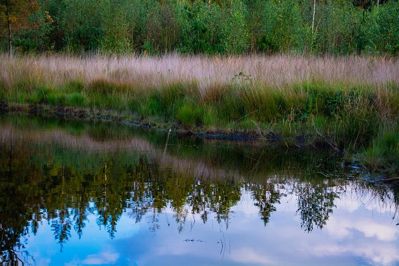 Spiegelbild der Bäume und der Wolken im Wasser von FotoGraaG Hanneke