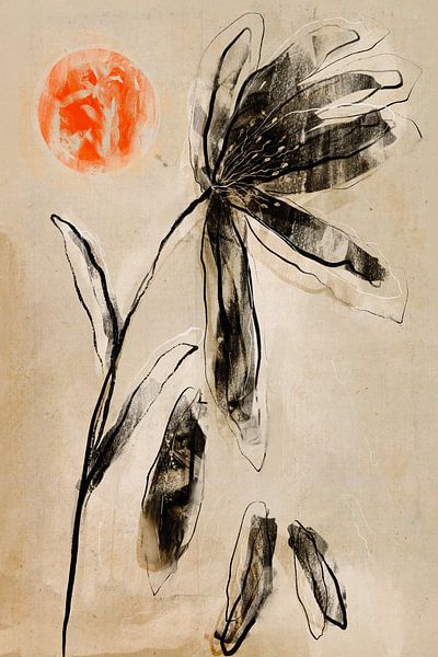 Transience douce par Treechild