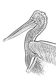 Pelikan: digitale Zeichnung schwarz/weiß