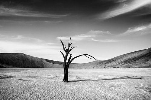 Dode Camelthorn bomen tegen rode duinen en blauwe hemel in Deadvlei, Sossusvlei.