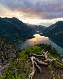 Plansee von Jürgen Rockmann