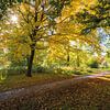 Herbst im Drachenpark von Albert Lamme