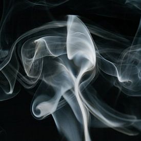 Smoke by Matthijs Damen