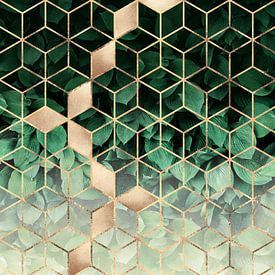 Leaves And Cubes, Elisabeth Fredriksson by 1x