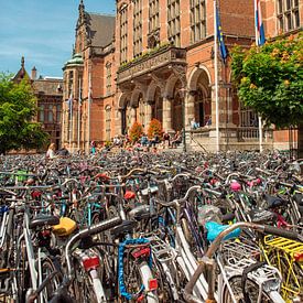 Cycling at the University of Groningen by Patricia Hofmeester