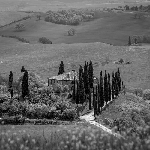 Italien im Quadrat schwarz-weiß, Toskana - Podere Belvedere von Teun Ruijters