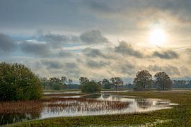 Landscape Netherlands water, air, forest by Ellen Seip