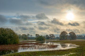 Landschap Nederland water, lucht, bos van Ellen Seip