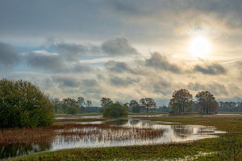Landschap Nederland water, lucht, bos