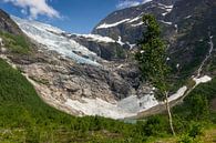 Bøyabreen Gletsjer, Noorwegen van Adelheid Smitt thumbnail