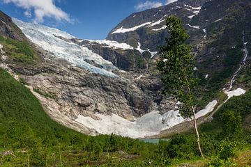 Bøyabreen Gletsjer, Noorwegen van Adelheid Smitt