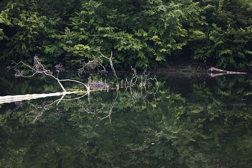 Le reflet dans le lac par Severin Frank Fotografie