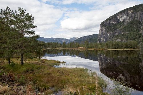 genau wie in Norwegen von Stephoto