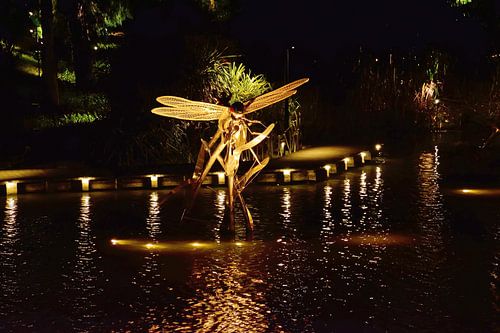 Een libellensculptuur in het libellenmeer