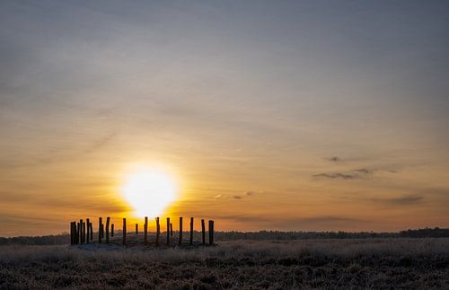 Winterse zonsopkomst in de Regte Heide te Brabant