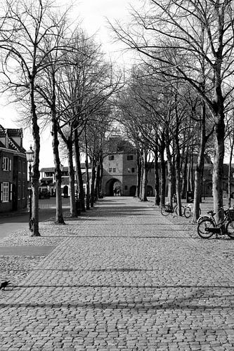Marché aux poissons de Harderwijk