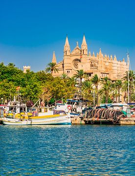 Palma de Majorca, port and Cathedral La Seu, Spain by Alex Winter